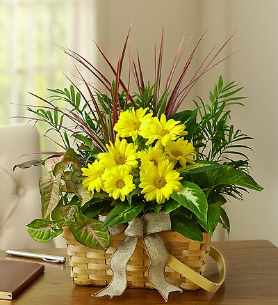 Dish Garden with Fresh Cut Flowers