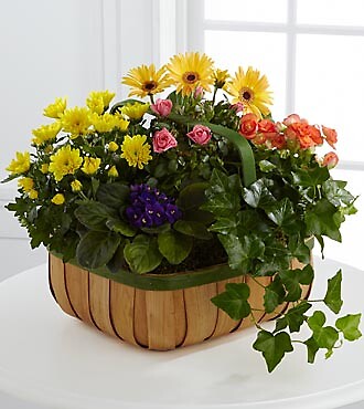 Gentle Blossoms Basket